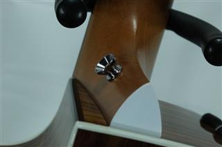 TAYLOR GUITARS 214CE DLX